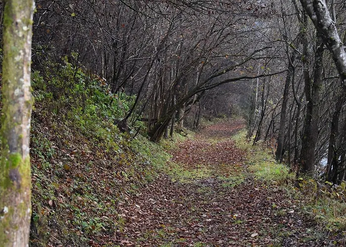 Appartamento Sabrina *